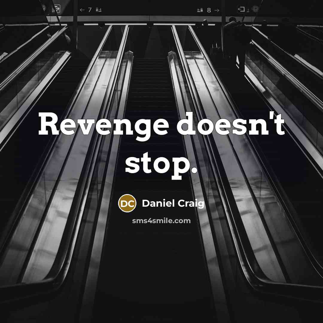 “Revenge doesn't stop.” quote by Daniel Craig