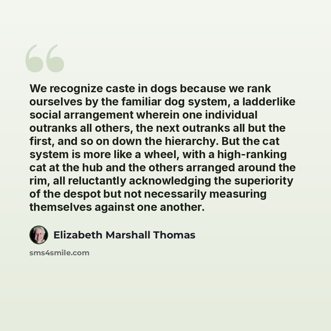 “We recognize caste in dogs because we rank ourselves by the familiar dog system, a ladderlike social arrangement wherein one individual outranks all others, the next outranks all but the first, and so on down the hierarchy. But the cat system is more like a wheel, with a high-ranking cat at the…” quote by Elizabeth Marshall Thomas
