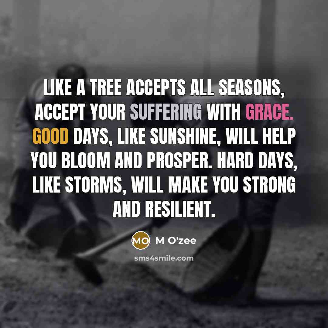 “Like a tree accepts all seasons, accept your suffering with grace. Good days, like sunshine, will help you bloom and prosper. Hard days, like storms, will make you strong and resilient.” quote by M O'zee