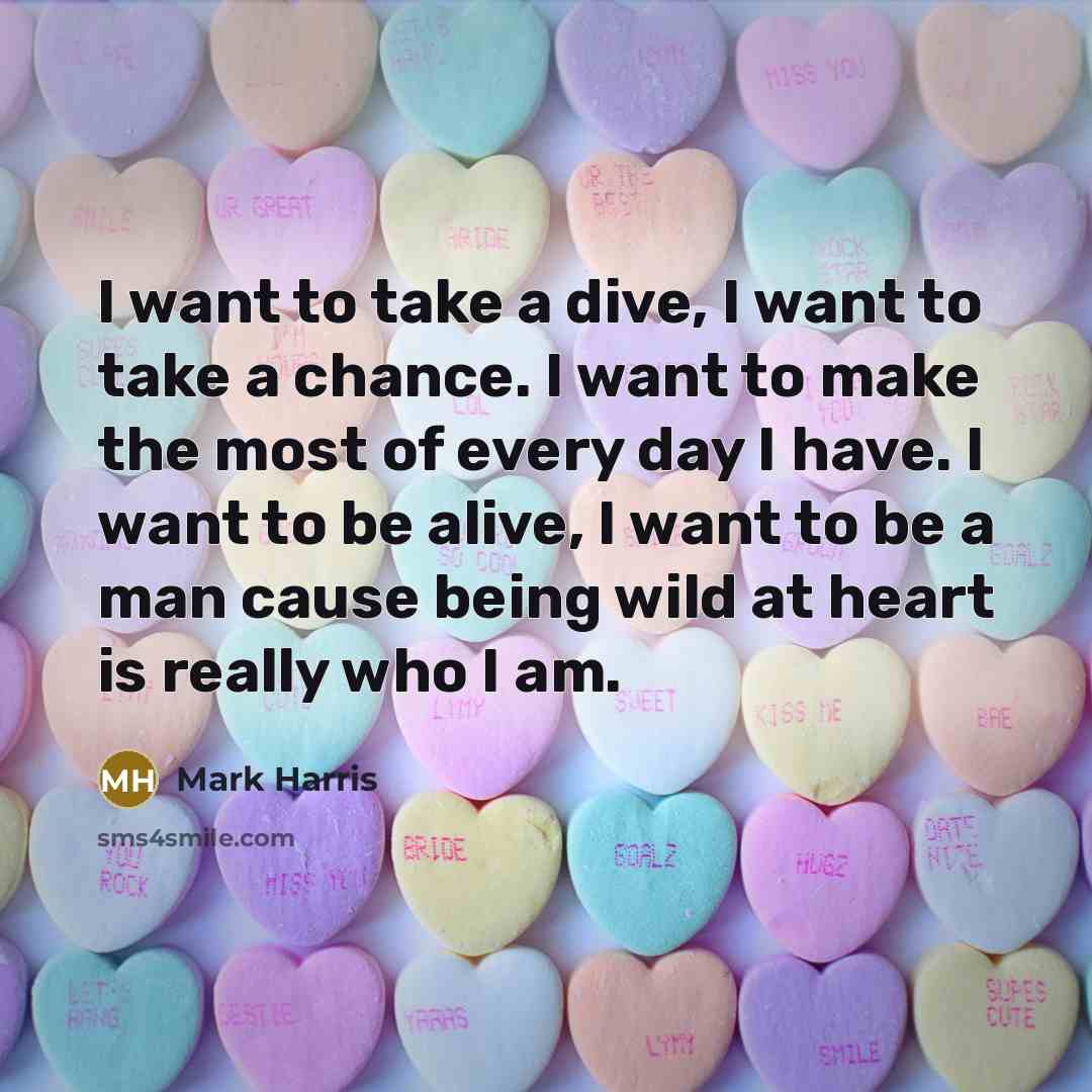 “I want to take a dive, I want to take a chance. I want to make the most of every day I have. I want to be alive, I want to be a man cause being wild at heart is really who I am.” quote by Mark Harris