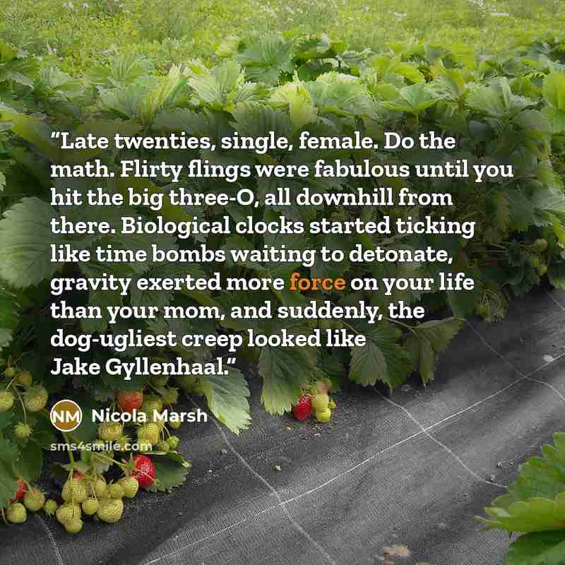 “Late twenties, single, female. Do the math. Flirty flings were fabulous until you hit the big three-O, all downhill from there. Biological clocks started ticking like time bombs waiting to detonate, gravity exerted more force on your life than your mom, and suddenly, the dog-ugliest creep looked…” quote by Nicola Marsh