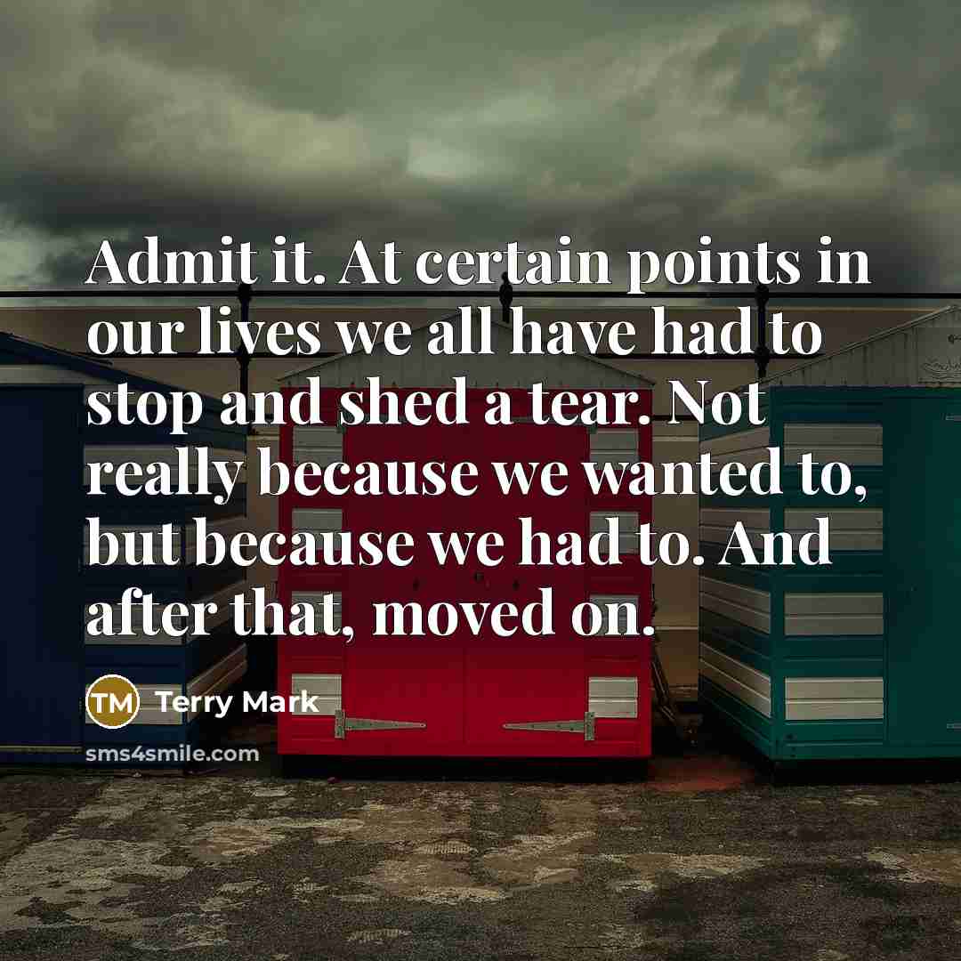 “Admit it. At certain points in our lives we all have had to stop and shed a tear. Not really because we wanted to, but because we had to. And after that, moved on.” quote by Terry Mark