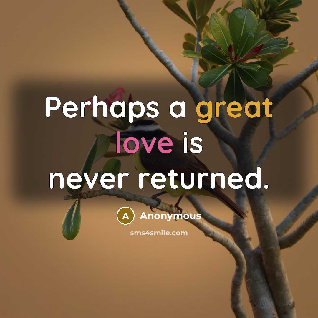 “Perhaps a great love is never returned.” quote by Anonymous