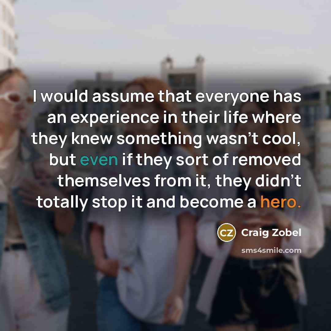 “I would assume that everyone has an experience in their life where they knew something wasn't cool, but even if they sort of removed themselves from it, they didn't totally stop it and become a hero.” quote by Craig Zobel