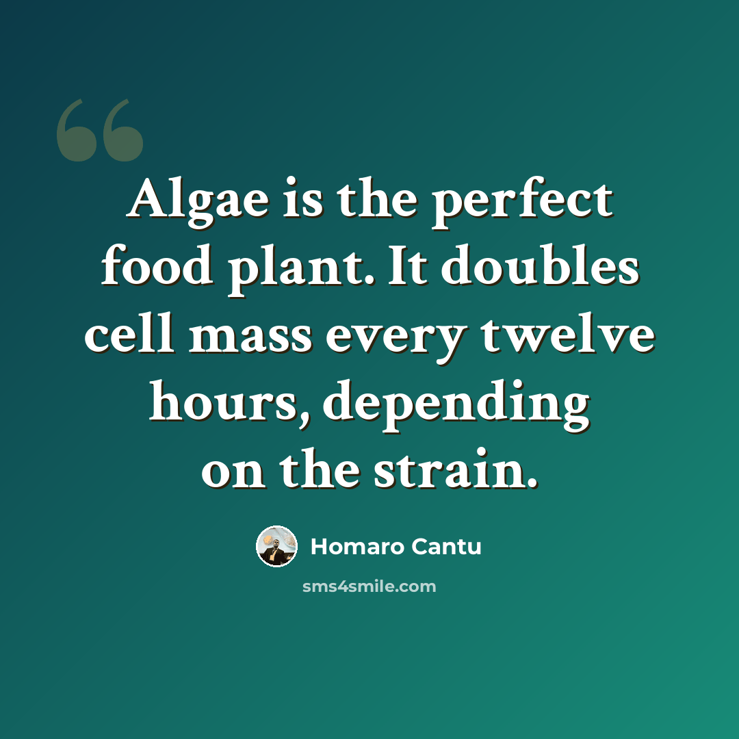 “Algae is the perfect food plant. It doubles cell mass every twelve hours, depending on the strain.” quote by Homaro Cantu