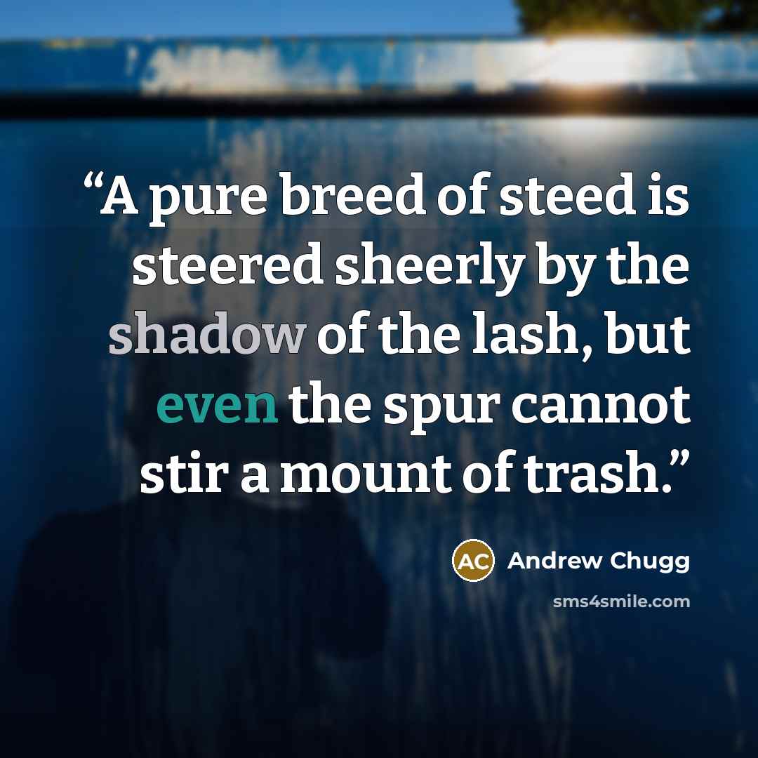 “A pure breed of steed is steered sheerly by the shadow of the lash, but even the spur cannot stir a mount of trash.” quote by Andrew Chugg