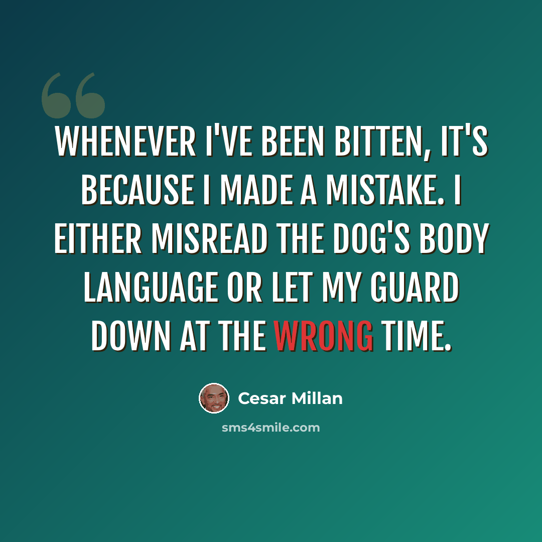 “Whenever I've been bitten, it's because I made a mistake. I either misread the dog's body language or let my guard down at the wrong time.” quote by Cesar Millan