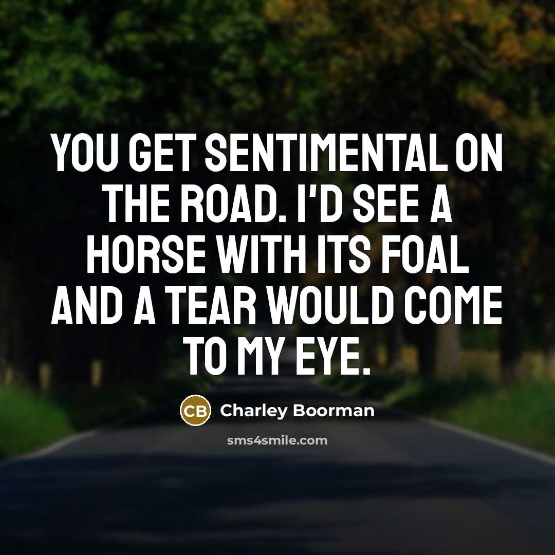 “You get sentimental on the road. I'd see a horse with its foal and a tear would come to my eye.” quote by Charley Boorman
