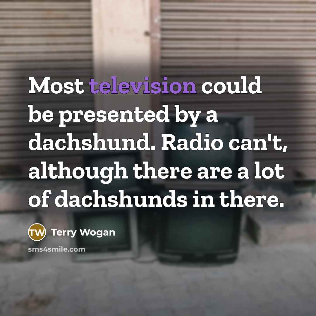 “Most television could be presented by a dachshund. Radio can't, although there are a lot of dachshunds in there.” quote by Terry Wogan