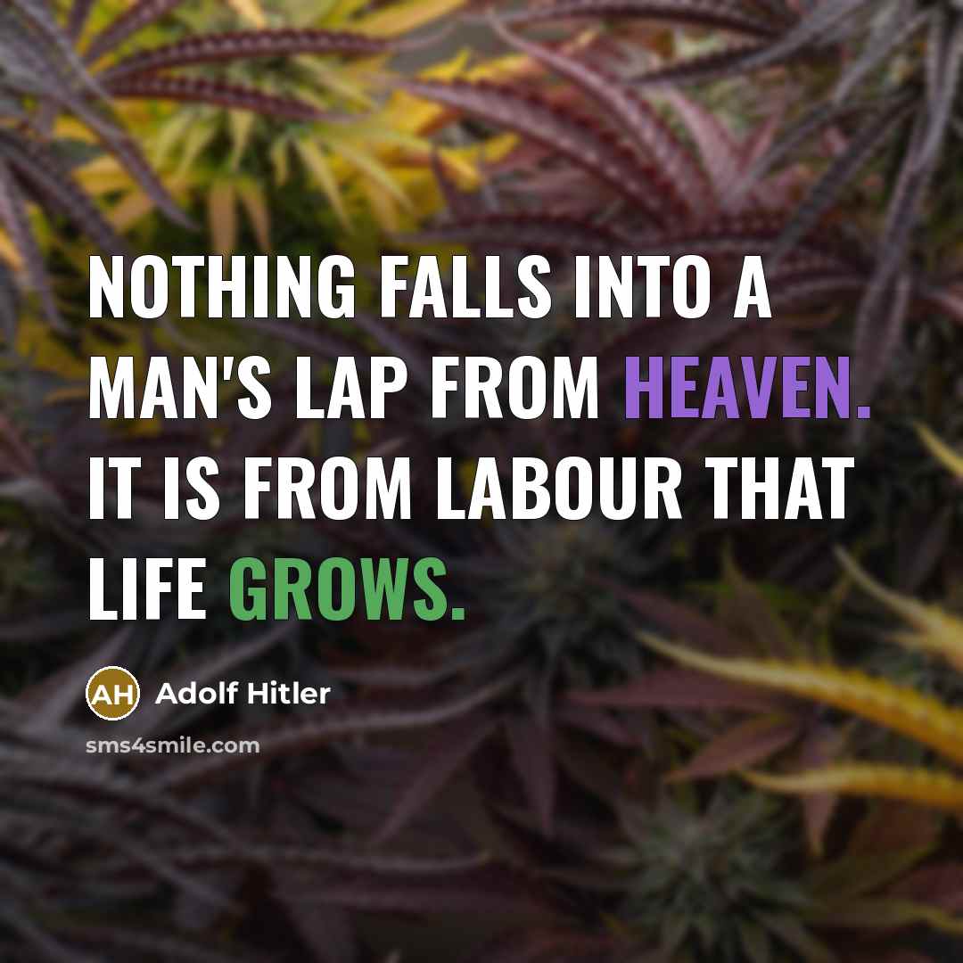 “Nothing falls into a man's lap from heaven. It is from labour that life grows.” quote by Adolf Hitler