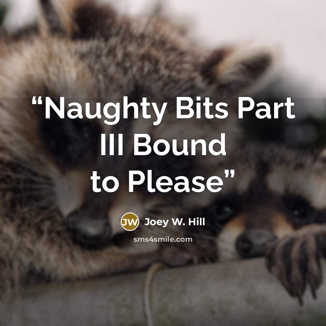 “Naughty Bits Part III Bound to Please” quote by Joey W. Hill