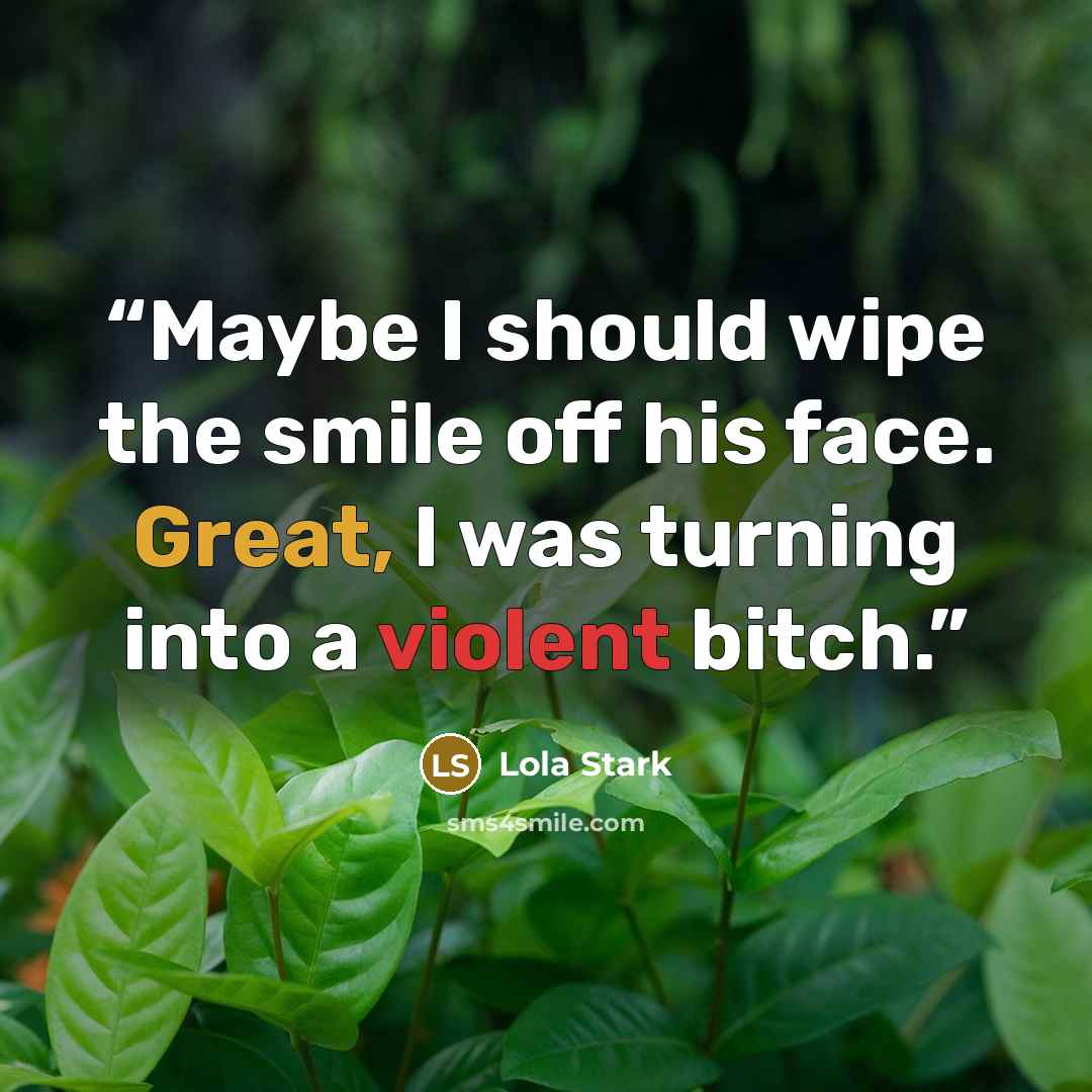 “Maybe I should wipe the smile off his face. Great, I was turning into a violent bitch.” quote by Lola Stark