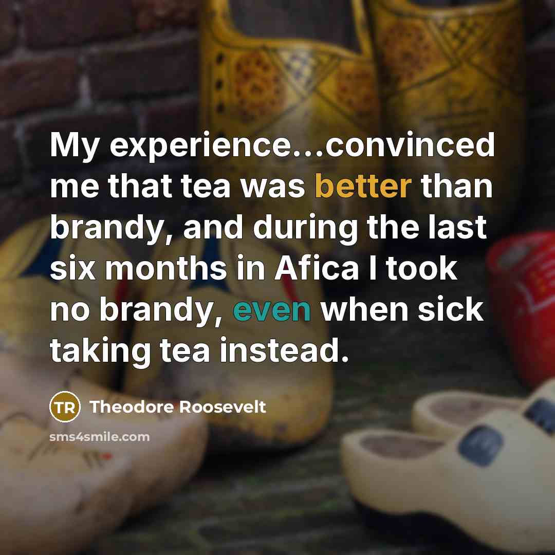 “My experience...convinced me that tea was better than brandy, and during the last six months in Afica I took no brandy, even when sick taking tea instead.” quote by Theodore Roosevelt