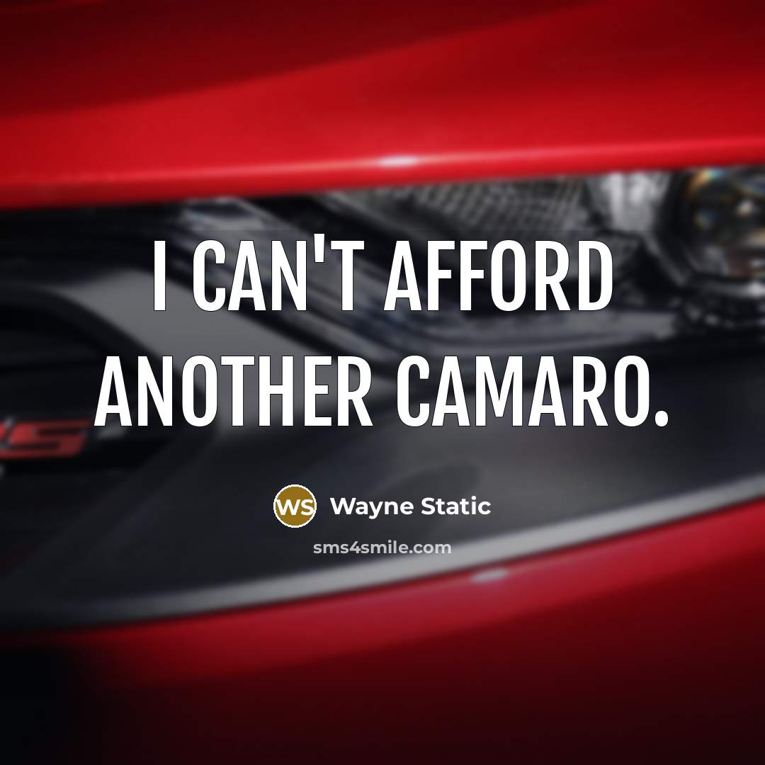 “I can't afford another Camaro.” quote by Wayne Static