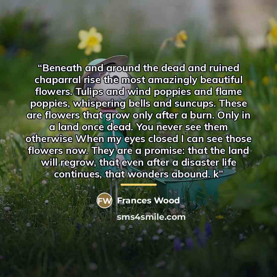 “Beneath and around the dead and ruined chaparral rise the most amazingly beautiful flowers. Tulips and wind poppies and flame poppies, whispering bells and suncups. These are flowers that grow only after a burn. Only in a land once dead. You never see them otherwise When my eyes closed I can see…” quote by Frances Wood