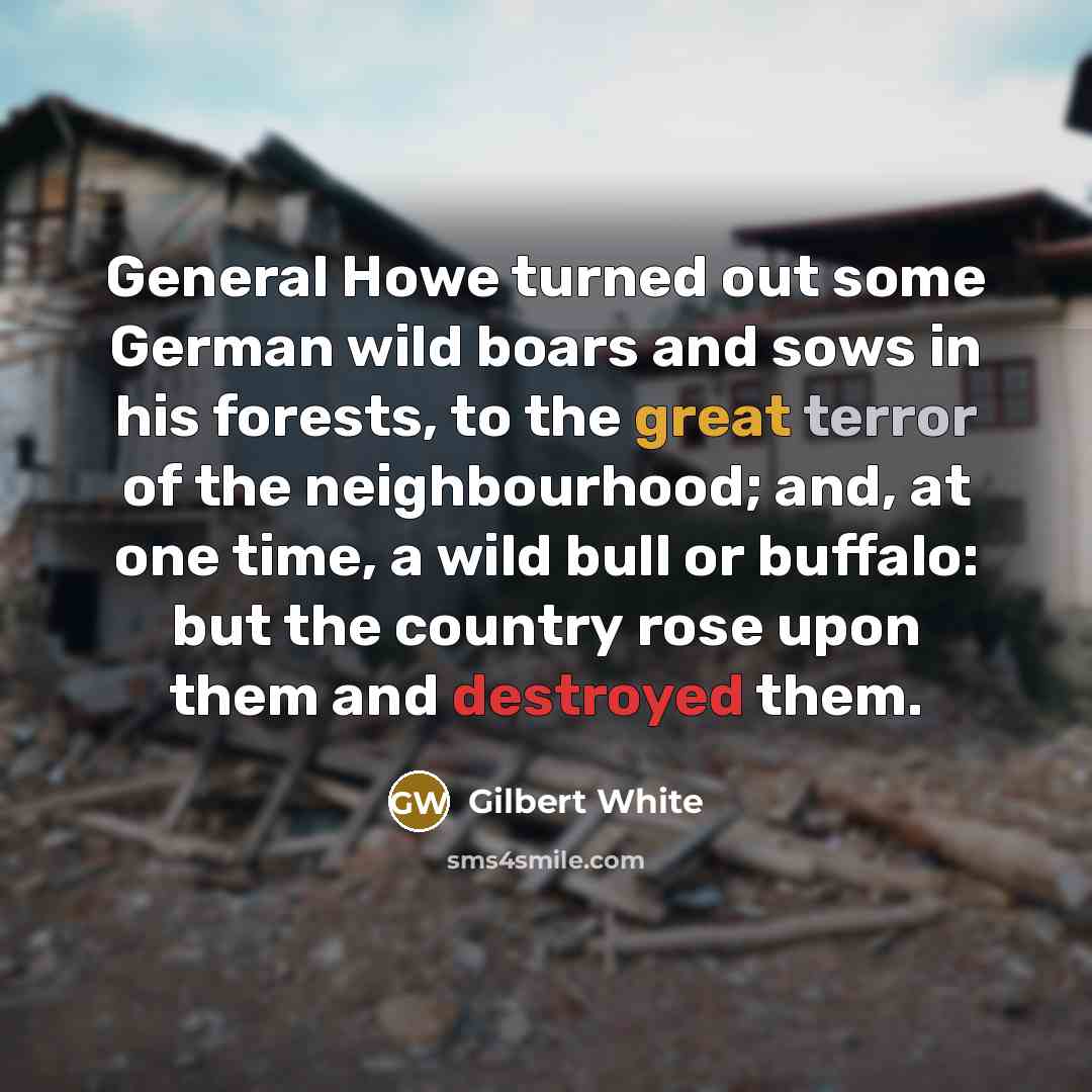 “General Howe turned out some German wild boars and sows in his forests, to the great terror of the neighbourhood; and, at one time, a wild bull or buffalo: but the country rose upon them and destroyed them.” quote by Gilbert White