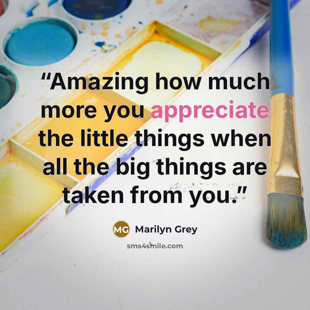 “Amazing how much more you appreciate the little things when all the big things are taken from you.” quote by Marilyn Grey