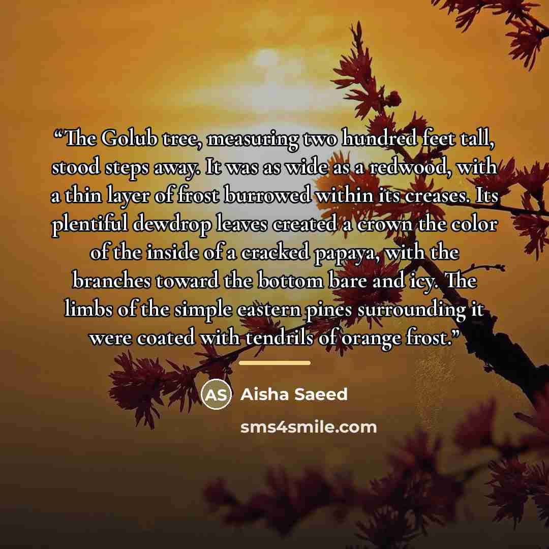 “The Golub tree, measuring two hundred feet tall, stood steps away. It was as wide as a redwood, with a thin layer of frost burrowed within its creases. Its plentiful dewdrop leaves created a crown the color of the inside of a cracked papaya, with the branches toward the bottom bare and icy. The…” quote by Aisha Saeed