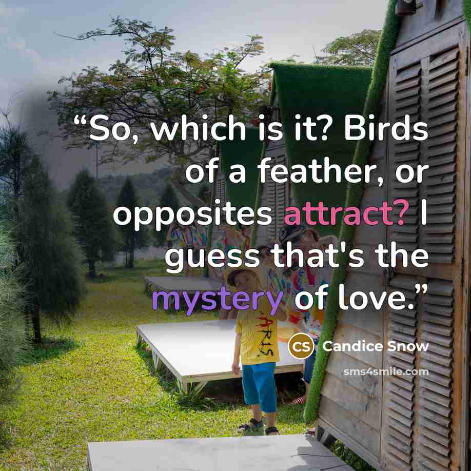 “So, which is it? Birds of a feather, or opposites attract? I guess that's the mystery of love.” quote by Candice Snow