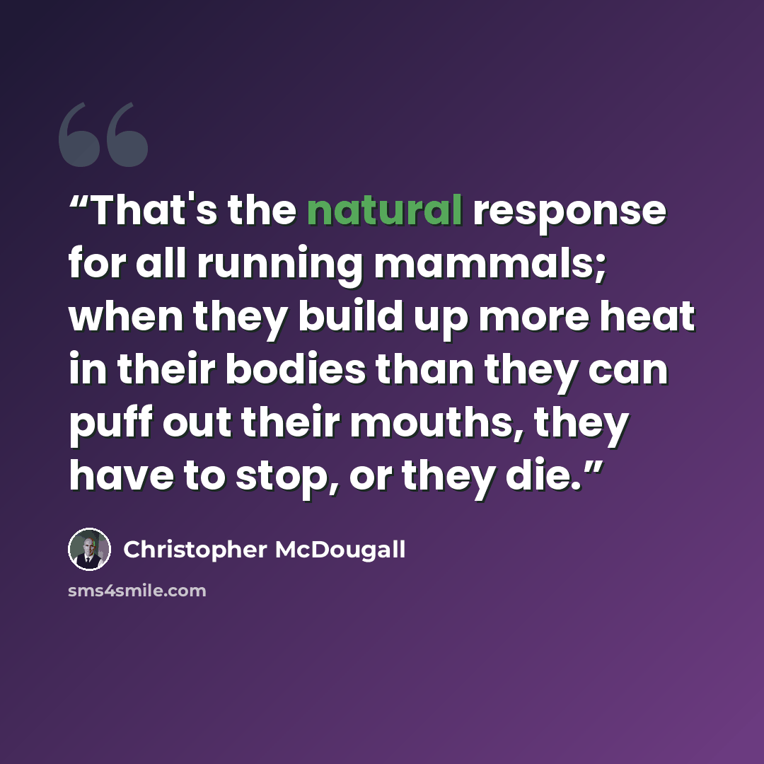 “That's the natural response for all running mammals; when they build up more heat in their bodies than they can puff out their mouths, they have to stop, or they die.” quote by Christopher McDougall
