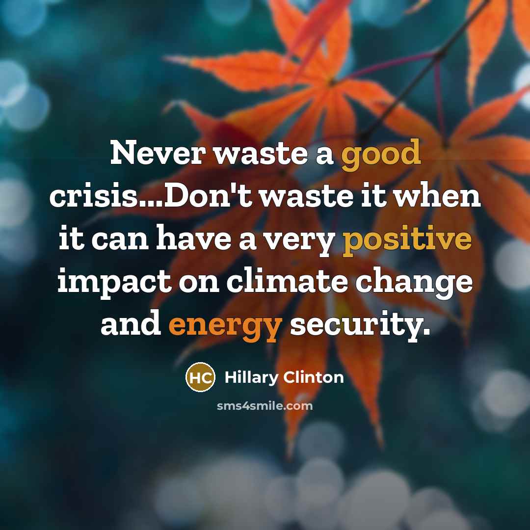 “Never waste a good crisis...Don't waste it when it can have a very positive impact on climate change and energy security.” quote by Hillary Clinton