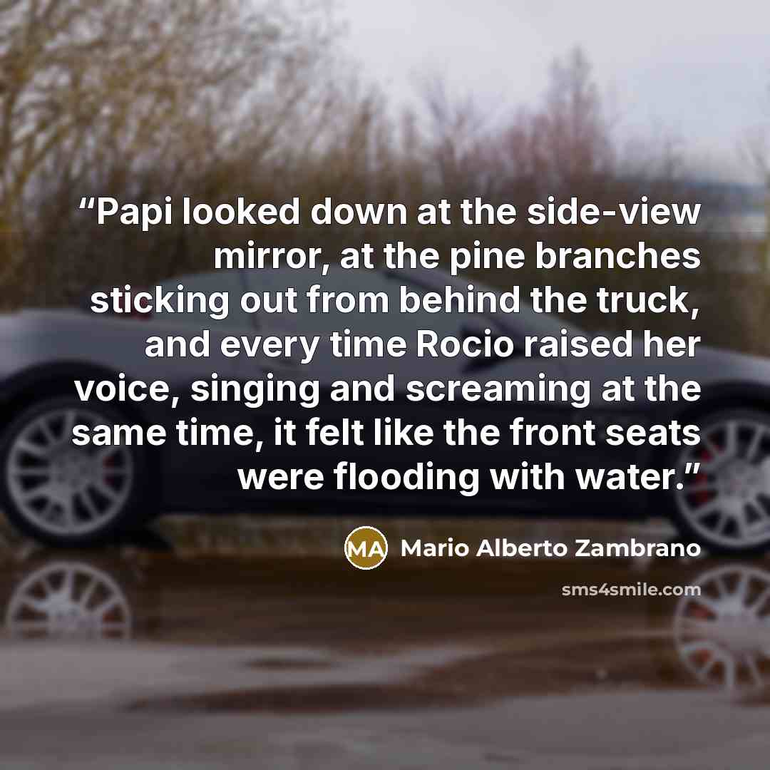 “Papi looked down at the side-view mirror, at the pine branches sticking out from behind the truck, and every time Rocio raised her voice, singing and screaming at the same time, it felt like the front seats were flooding with water.” quote by Mario Alberto Zambrano