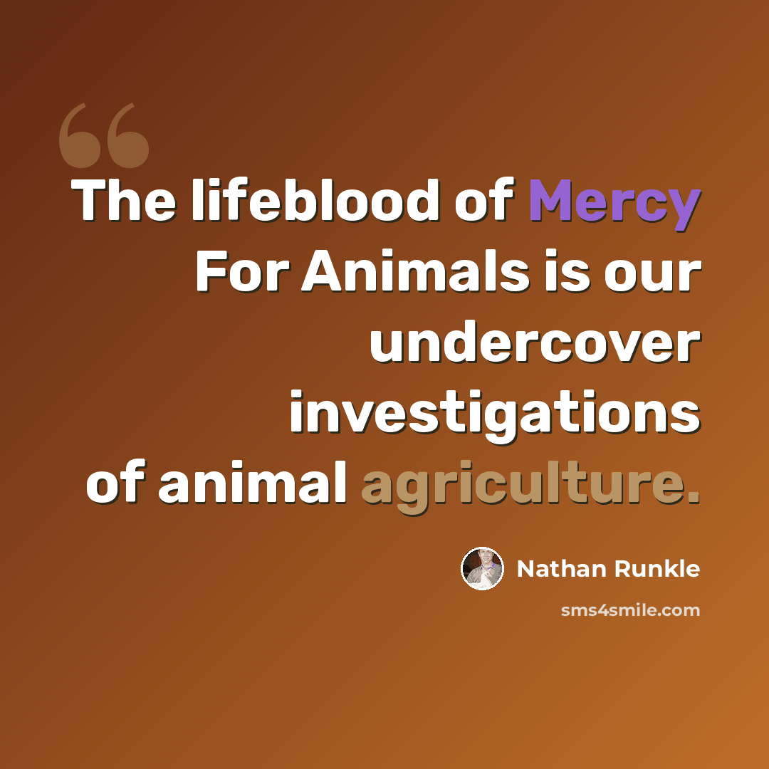 “The lifeblood of Mercy For Animals is our undercover investigations of animal agriculture.” quote by Nathan Runkle