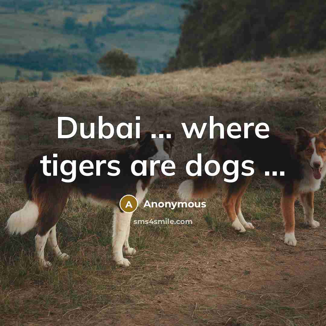 “Dubai ... where tigers are dogs ...” quote by Anonymous