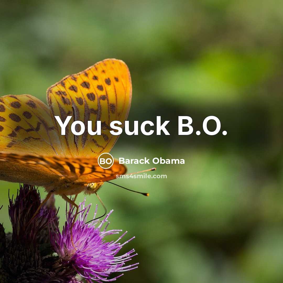 “You suck B.O.” quote by Barack Obama
