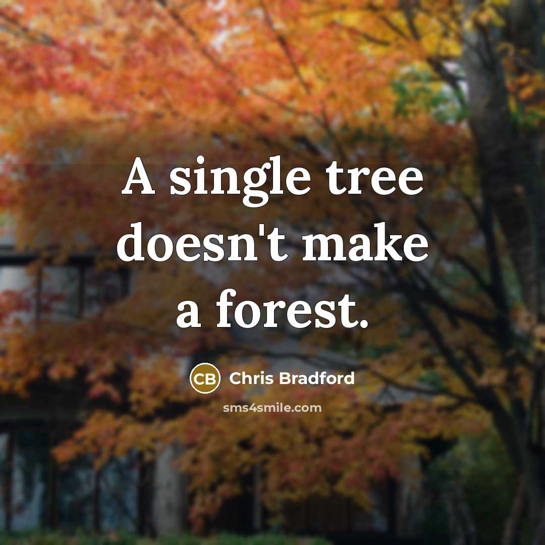 “A single tree doesn't make a forest.” quote by Chris Bradford