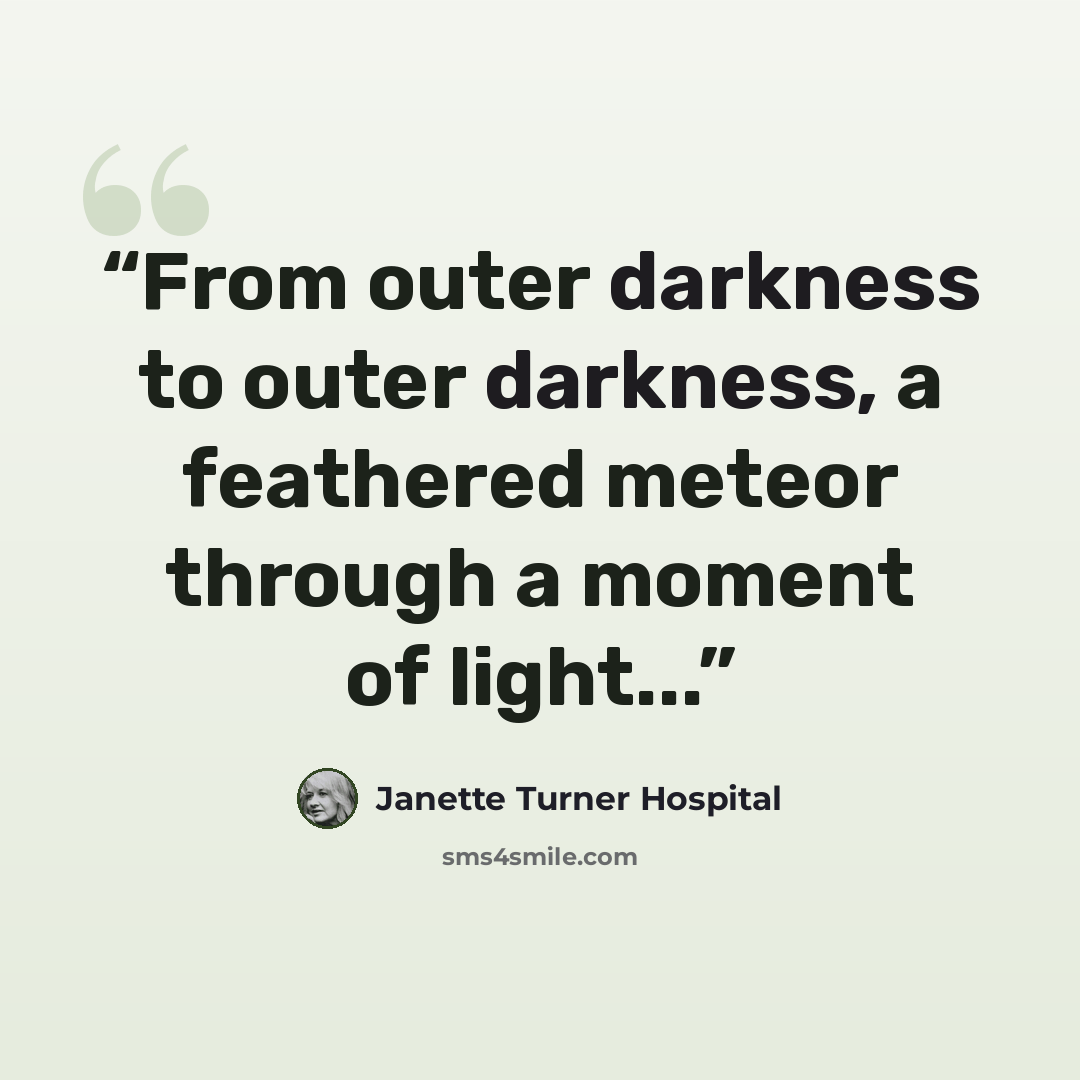“From outer darkness to outer darkness, a feathered meteor through a moment of light...” quote by Janette Turner Hospital