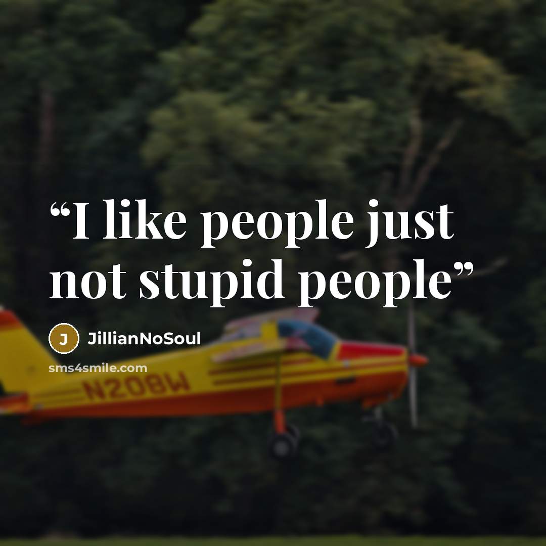 “I like people just not stupid people” quote by JillianNoSoul