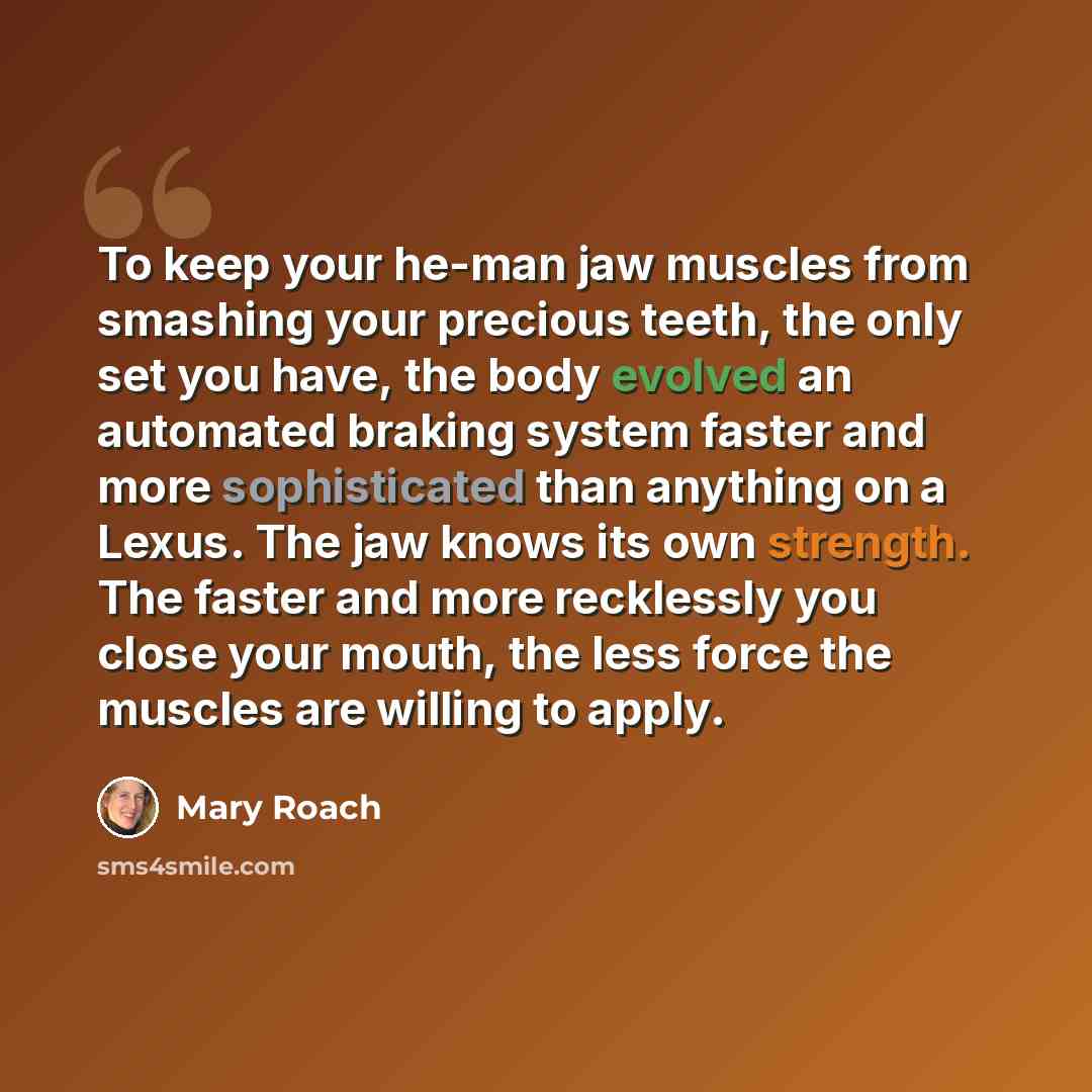 “To keep your he-man jaw muscles from smashing your precious teeth, the only set you have, the body evolved an automated braking system faster and more sophisticated than anything on a Lexus. The jaw knows its own strength. The faster and more recklessly you close your mouth, the less force the…” quote by Mary Roach