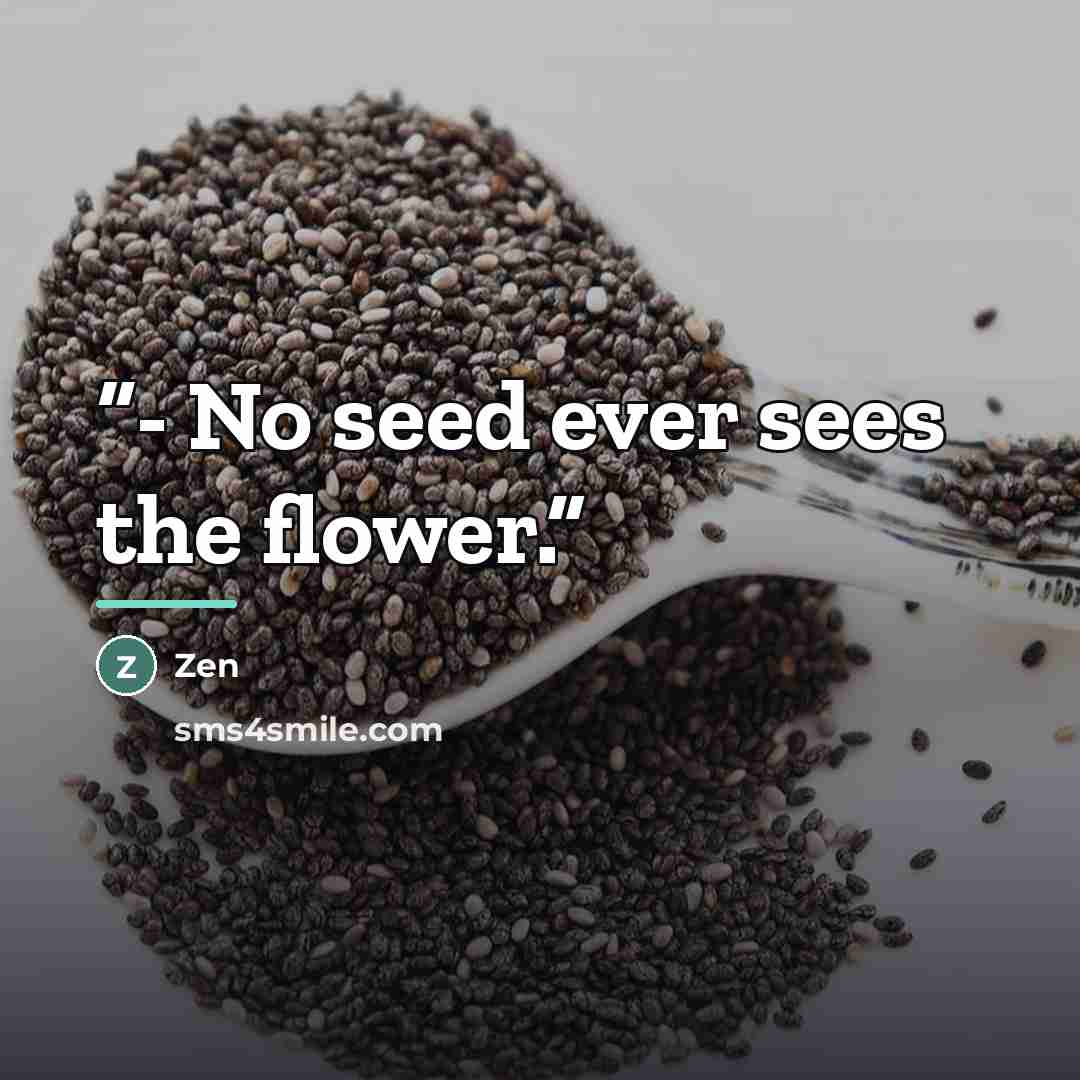 “- No seed ever sees the flower.” quote by Zen