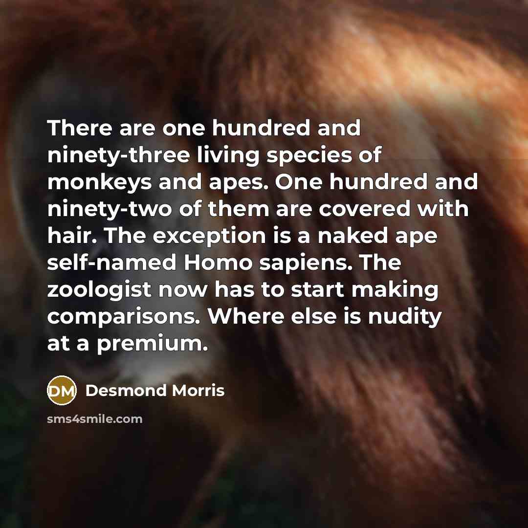 “There are one hundred and ninety-three living species of monkeys and apes. One hundred and ninety-two of them are covered with hair. The exception is a naked ape self-named Homo sapiens. The zoologist now has to start making comparisons. Where else is nudity at a premium.” quote by Desmond Morris