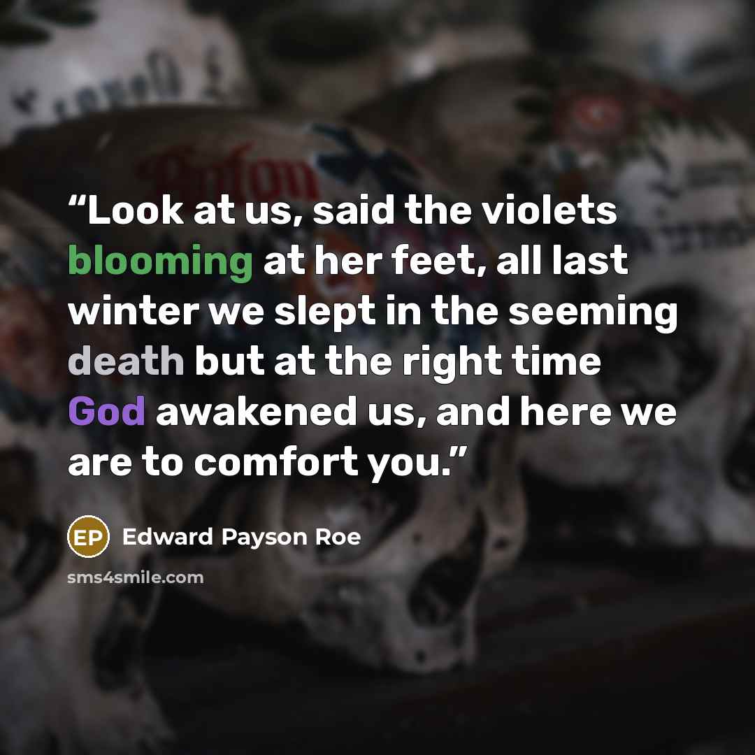 “Look at us, said the violets blooming at her feet, all last winter we slept in the seeming death but at the right time God awakened us, and here we are to comfort you.” quote by Edward Payson Roe