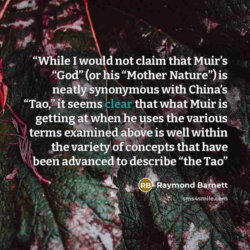 “While I would not claim that Muir’s “God” (or his “Mother Nature”) is neatly synonymous with China’s “Tao,” it seems clear that what Muir is getting at when he uses the various terms examined above is well within the variety of concepts that have been advanced to describe “the Tao” quote by Raymond Barnett