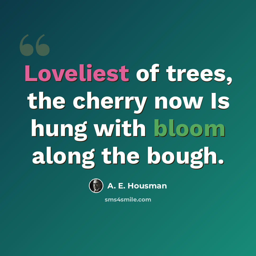 “Loveliest of trees, the cherry now Is hung with bloom along the bough.” quote by A. E. Housman