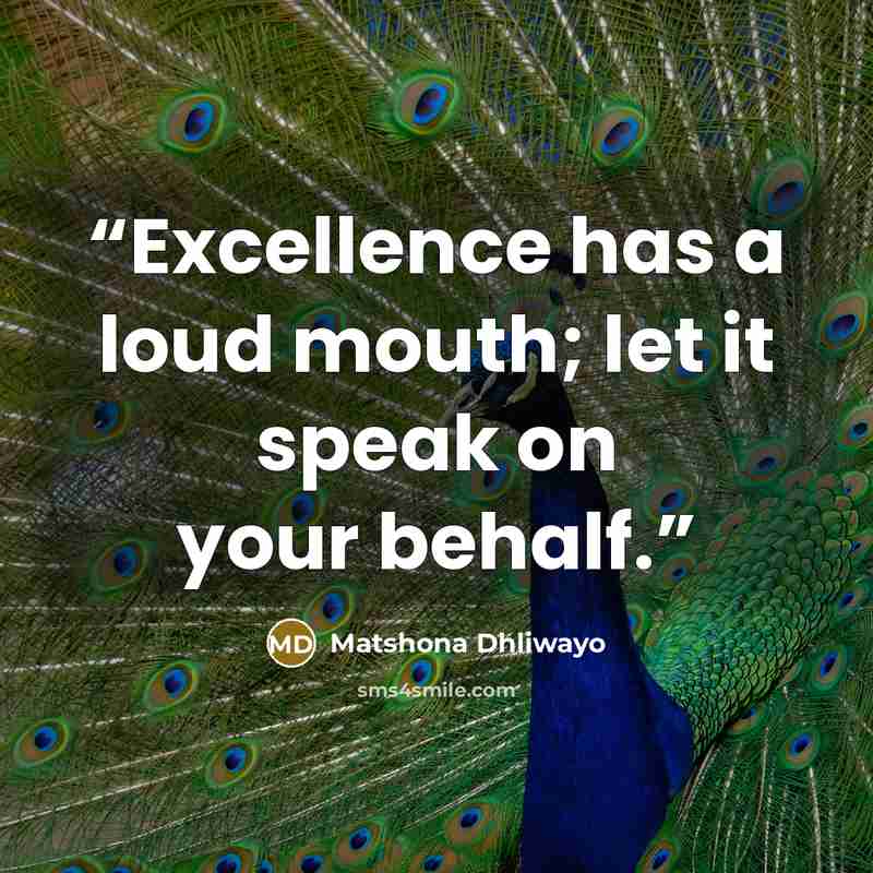 “Excellence has a loud mouth; let it speak on your behalf.” quote by Matshona Dhliwayo