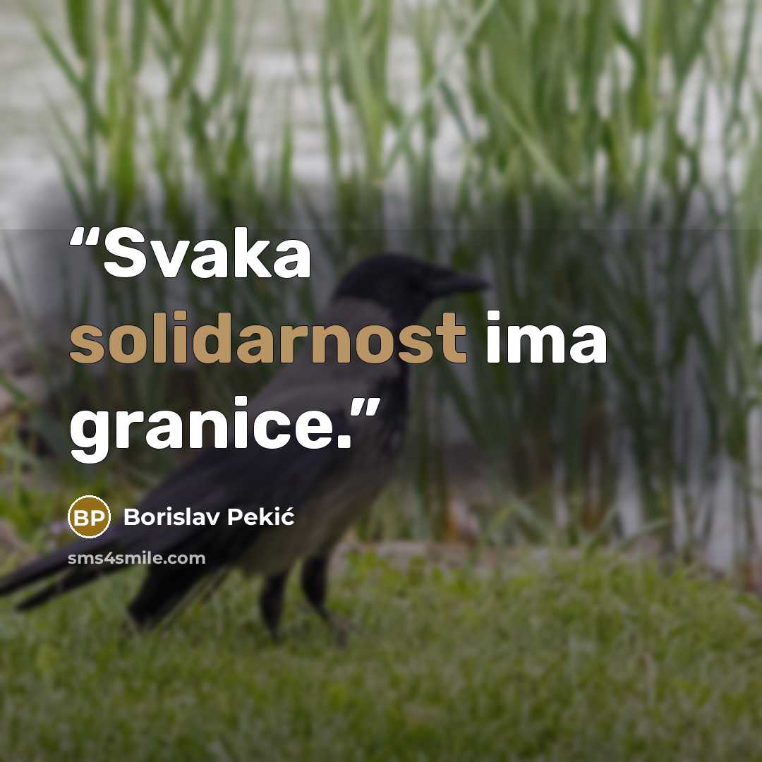 “Svaka solidarnost ima granice.” quote by Borislav Pekić