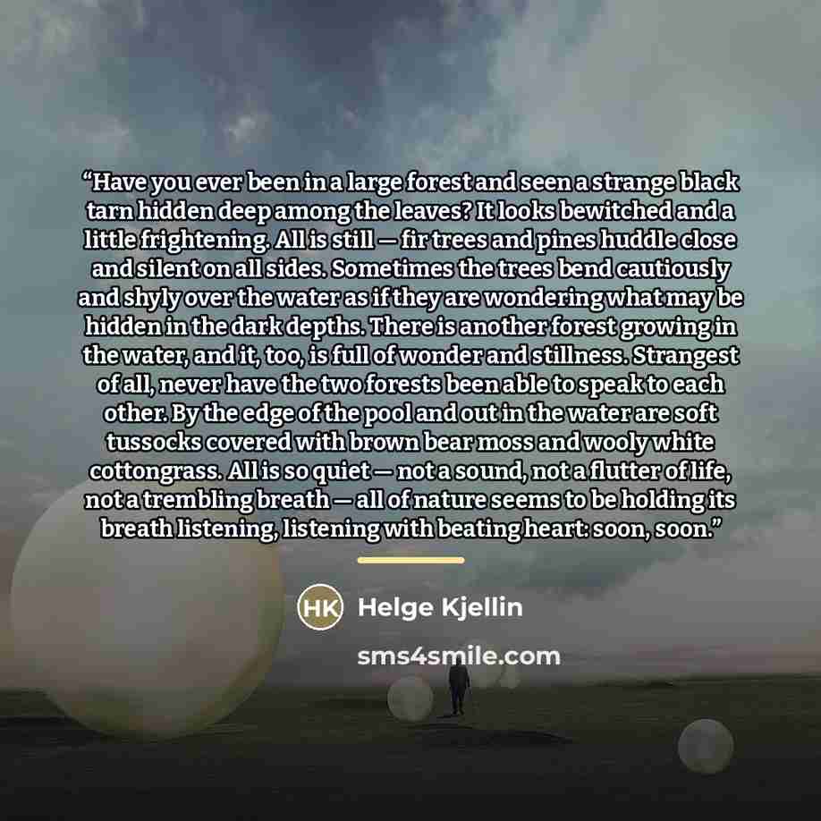 “Have you ever been in a large forest and seen a strange black tarn hidden deep among the leaves? It looks bewitched and a little frightening. All is still — fir trees and pines huddle close and silent on all sides. Sometimes the trees bend cautiously and shyly over the water as if they are…” quote by Helge Kjellin