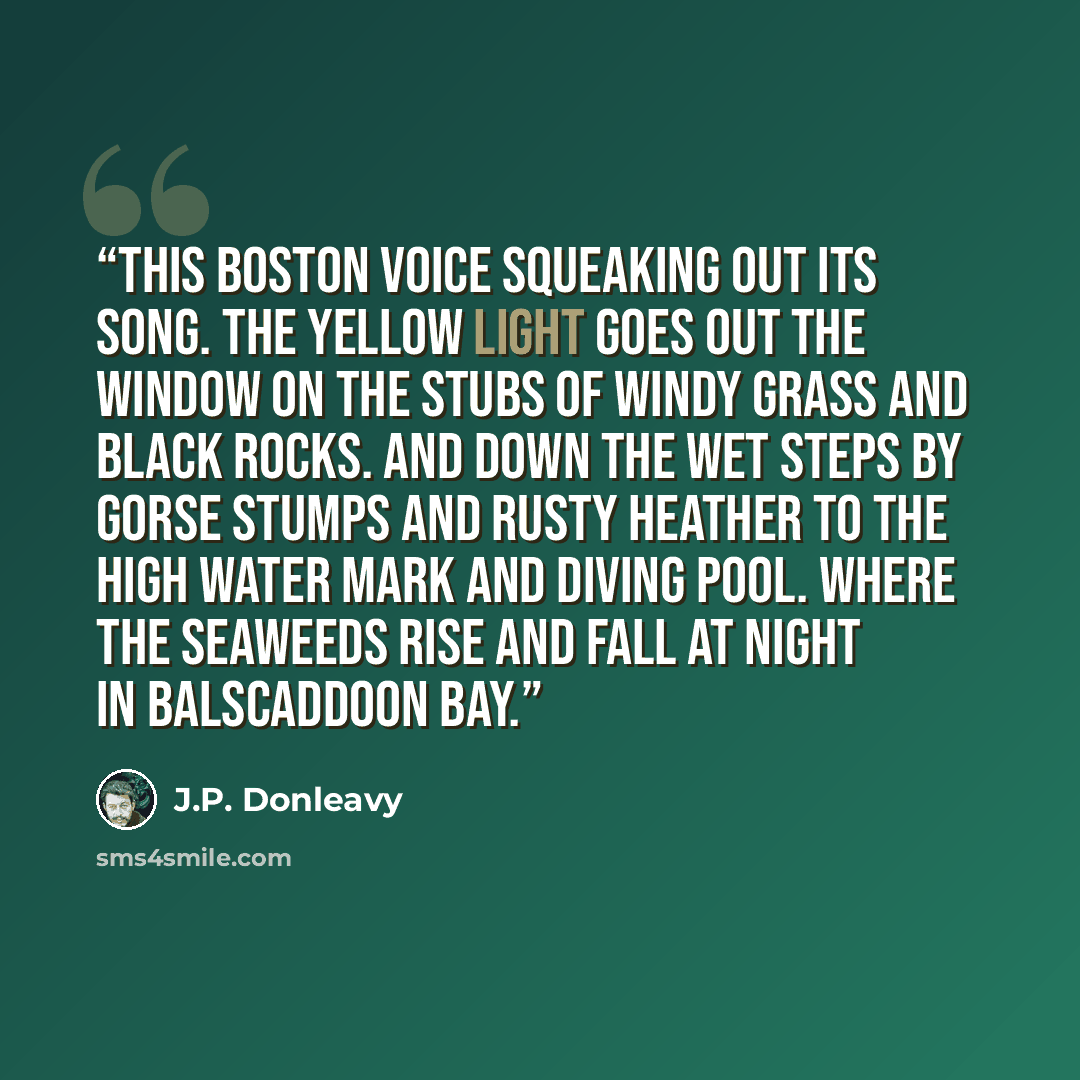 “This Boston voice squeaking out its song. The yellow light goes out the window on the stubs of windy grass and black rocks. And down the wet steps by gorse stumps and rusty heather to the high water mark and diving pool. Where the seaweeds rise and fall at night in Balscaddoon Bay.” quote by J.P. Donleavy