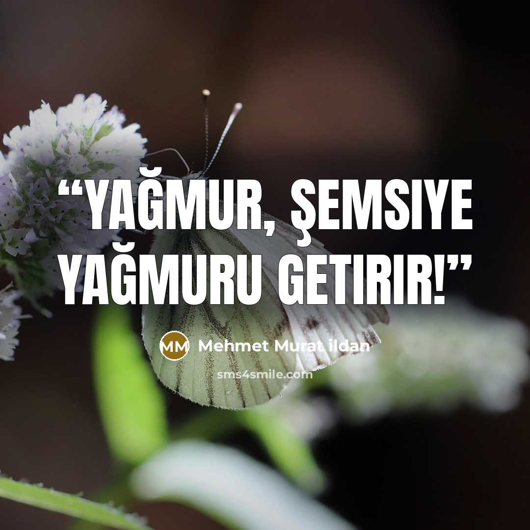 “Yağmur, şemsiye yağmuru getirir!” quote by Mehmet Murat ildan