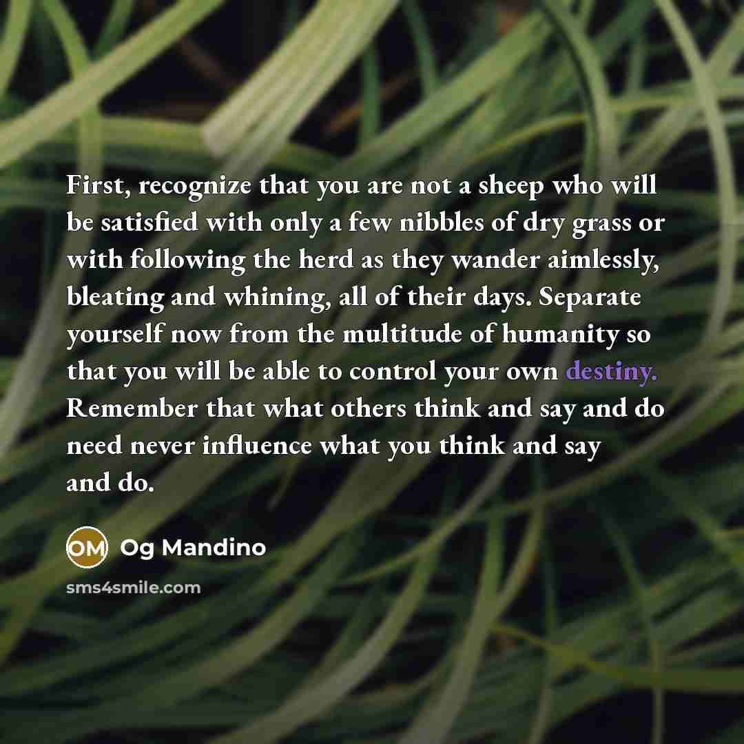 “First, recognize that you are not a sheep who will be satisfied with only a few nibbles of dry grass or with following the herd as they wander aimlessly, bleating and whining, all of their days. Separate yourself now from the multitude of humanity so that you will be able to control your own…” quote by Og Mandino
