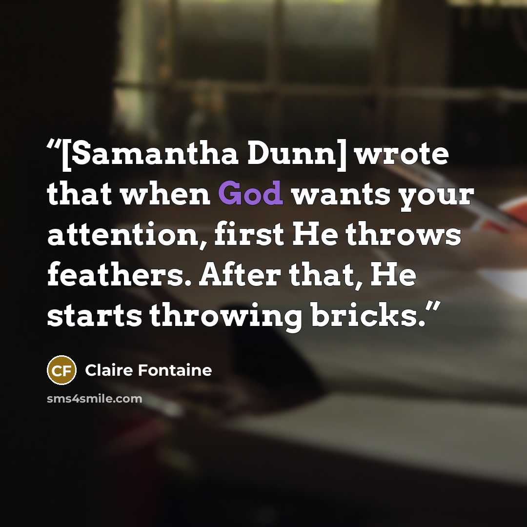 “[Samantha Dunn] wrote that when God wants your attention, first He throws feathers. After that, He starts throwing bricks.” quote by Claire Fontaine