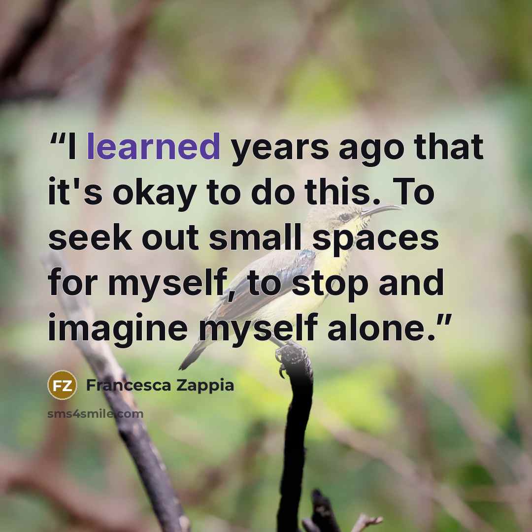 “I learned years ago that it's okay to do this. To seek out small spaces for myself, to stop and imagine myself alone.” quote by Francesca Zappia