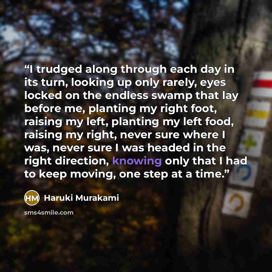 “I trudged along through each day in its turn, looking up only rarely, eyes locked on the endless swamp that lay before me, planting my right foot, raising my left, planting my left food, raising my right, never sure where I was, never sure I was headed in the right direction, knowing only that I…” quote by Haruki Murakami
