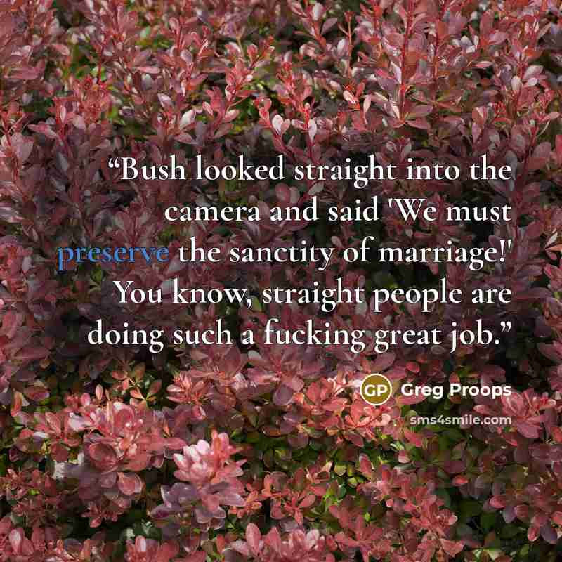“Bush looked straight into the camera and said 'We must preserve the sanctity of marriage!' You know, straight people are doing such a fucking great job.” quote by Greg Proops