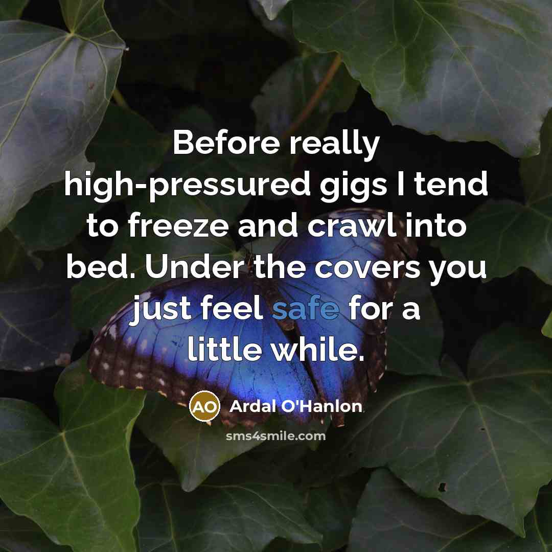 “Before really high-pressured gigs I tend to freeze and crawl into bed. Under the covers you just feel safe for a little while.” quote by Ardal O'Hanlon