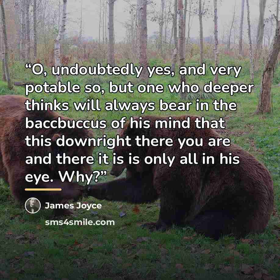 “O, undoubtedly yes, and very potable so, but one who deeper thinks will always bear in the baccbuccus of his mind that this downright there you are and there it is is only all in his eye. Why?” quote by James Joyce